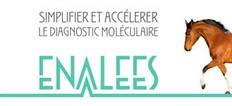 ENALEES
